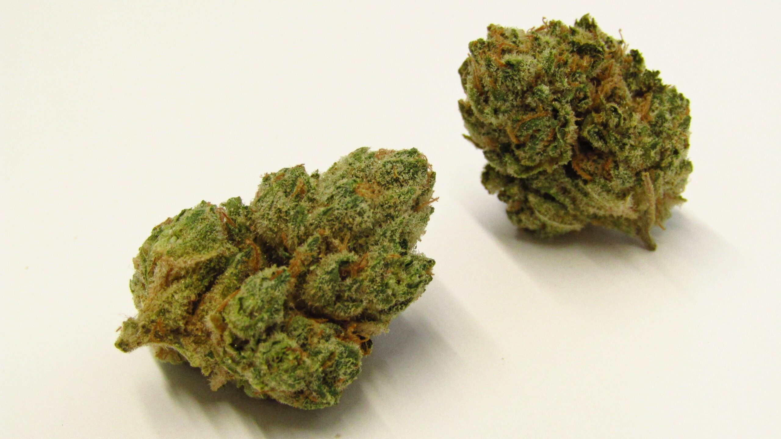 What Is Kush: Definition, Origin, Effects, Best Strains